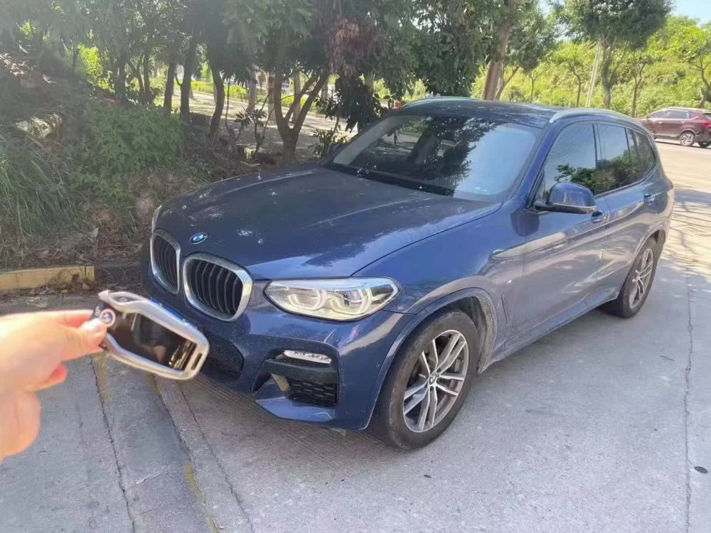 宝马X3(进口) 2019款 宝马X3(进口) xDrive30i 标准型 欧版