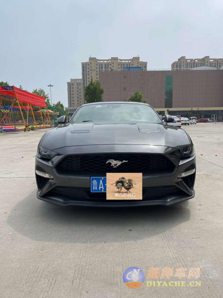 福特 野马Mustang(进口)[Mustang] 2019款 野马(进口) 2.3L EcoBoo