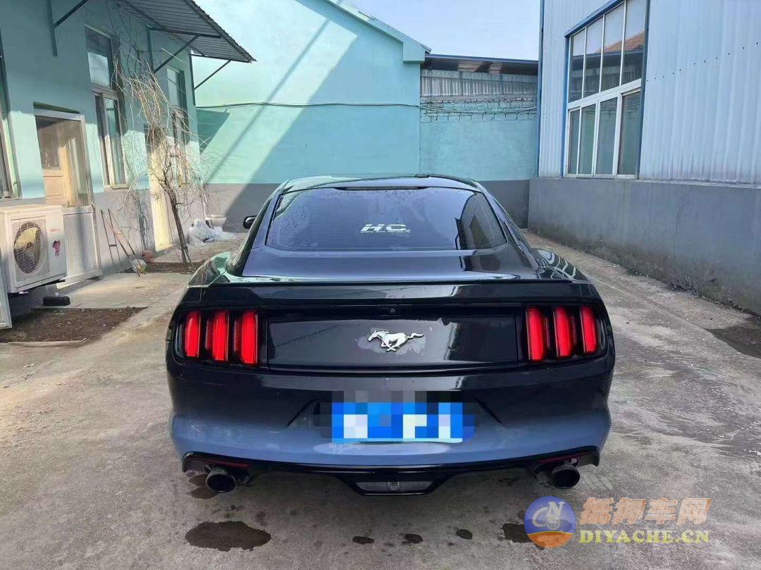 福特 野马Mustang(进口)[Mustang] 2016款 野马(进口) 2.3T 运动版