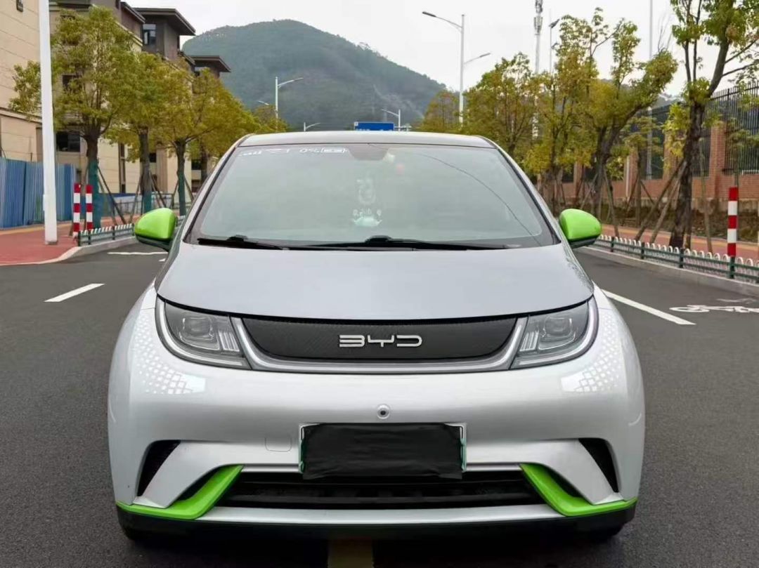 22年比亚迪海豚，时尚版比亚迪 海豚